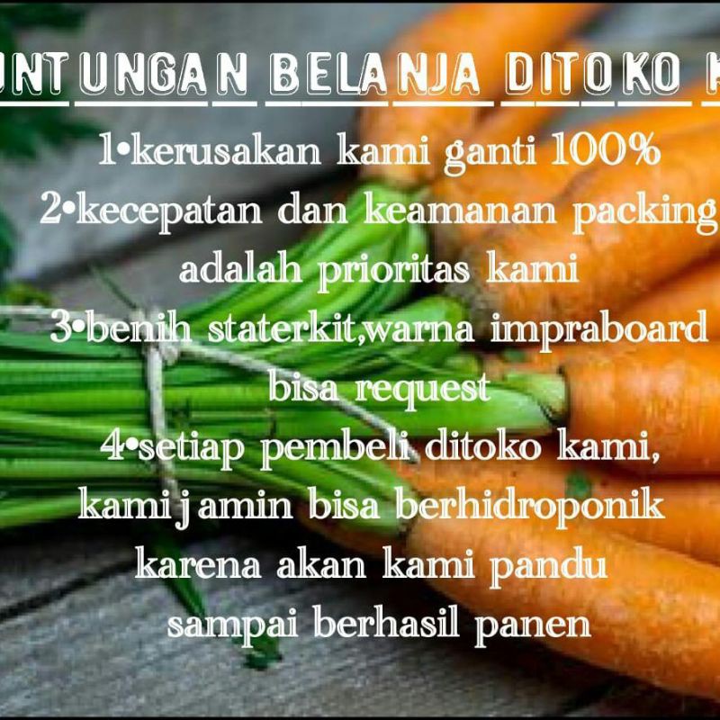 PAKET HIDROPONIK LENGKAP 5 BAK 60 LUBANG HIDROPONIK PEMULA PAKET HYDROPONIK LENGKAP