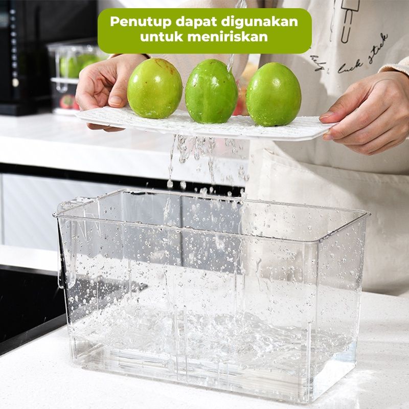 Boks box container kulkas