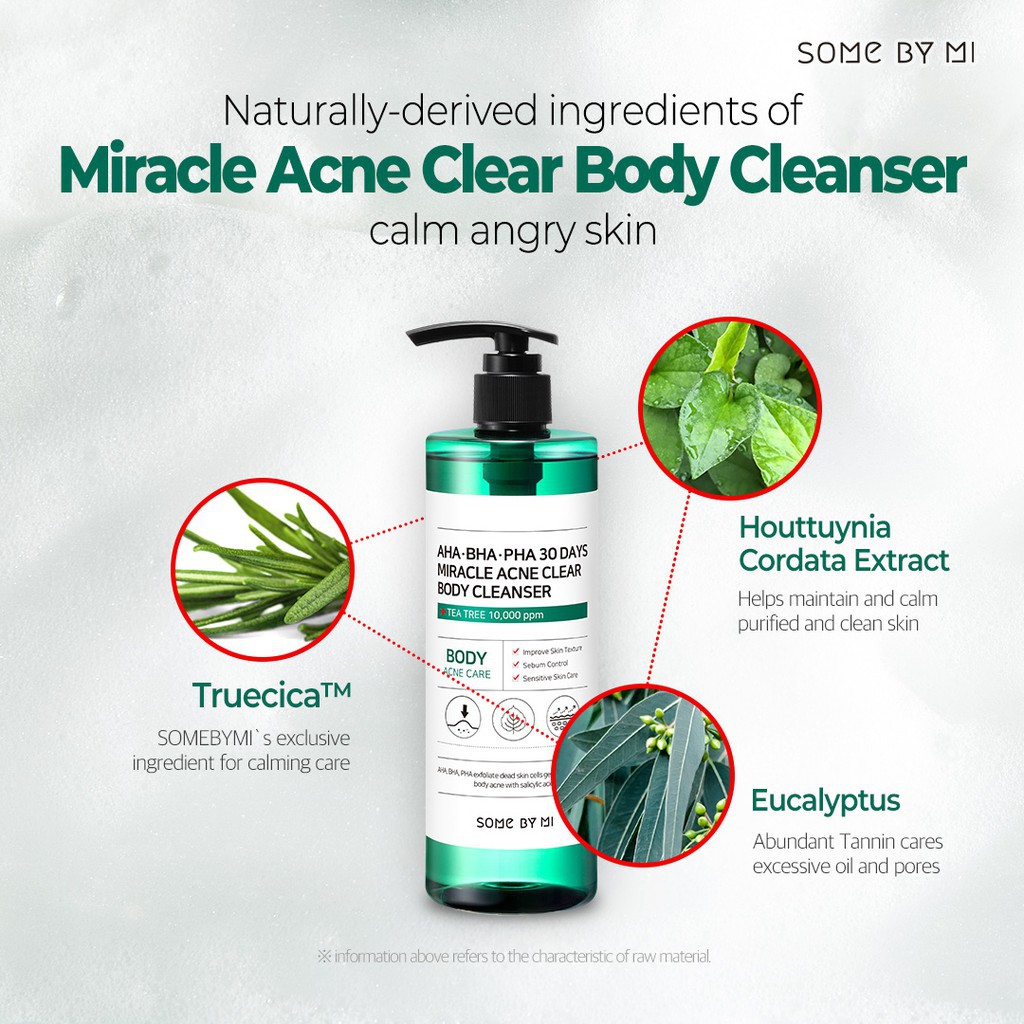 BPOM - SOME BY MI AHA BHA PHA 30 Days Miracle Acne Clear Body Cleanser 400gr