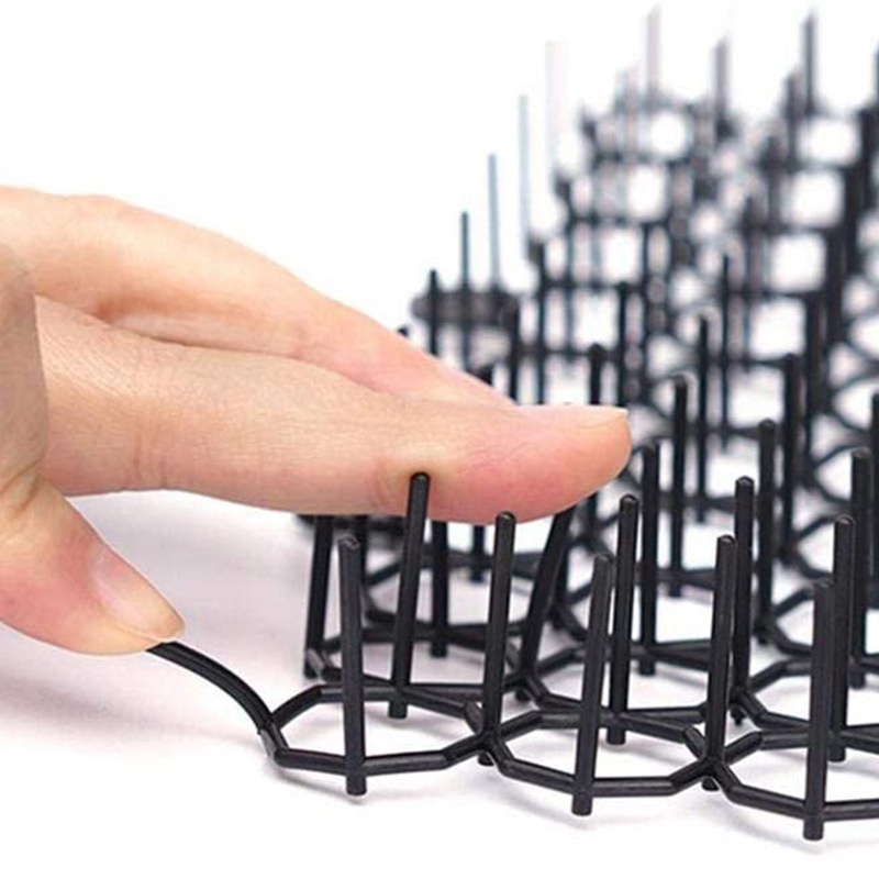 # Kaos T-Shirt Wanita Lengan Pendek Motif Print #Alat Pengusir Kucing Untuk Taman