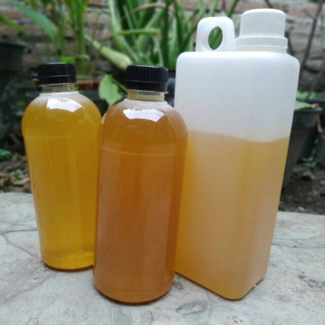 

Madu murni