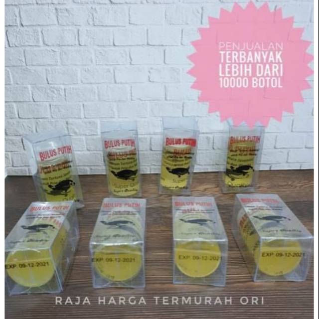 Minyak Bulus Putih Asli Papua