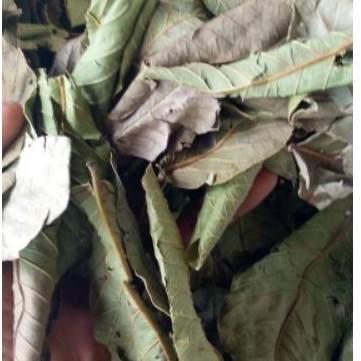 

DAUN JAMBU BIJI KLUTHUK KERING 500 GRAM