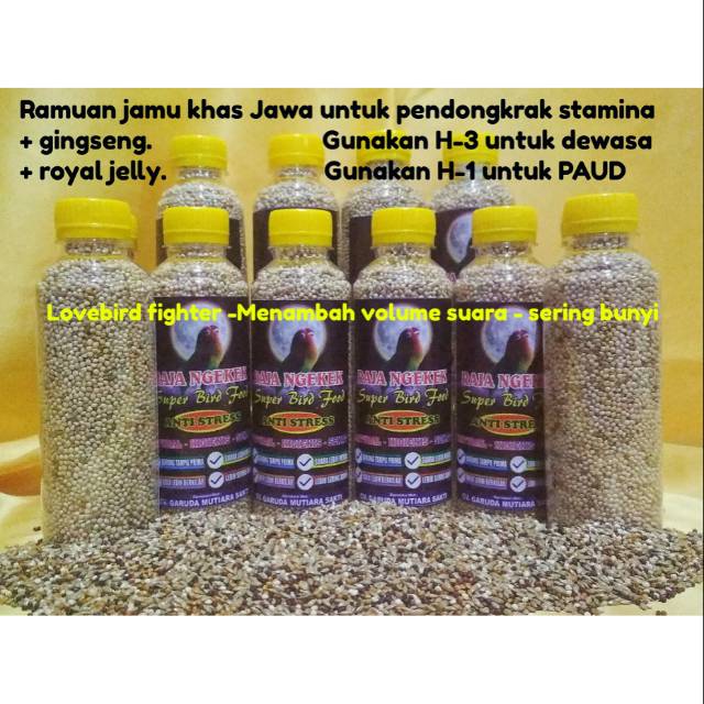 Pakan Lovebird fighter