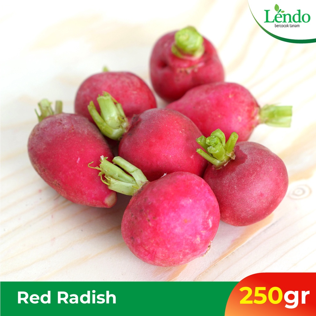 

Red Radish