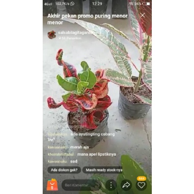 live tgl 06 ags deal kak @khoirohmiftahul (lipstik)