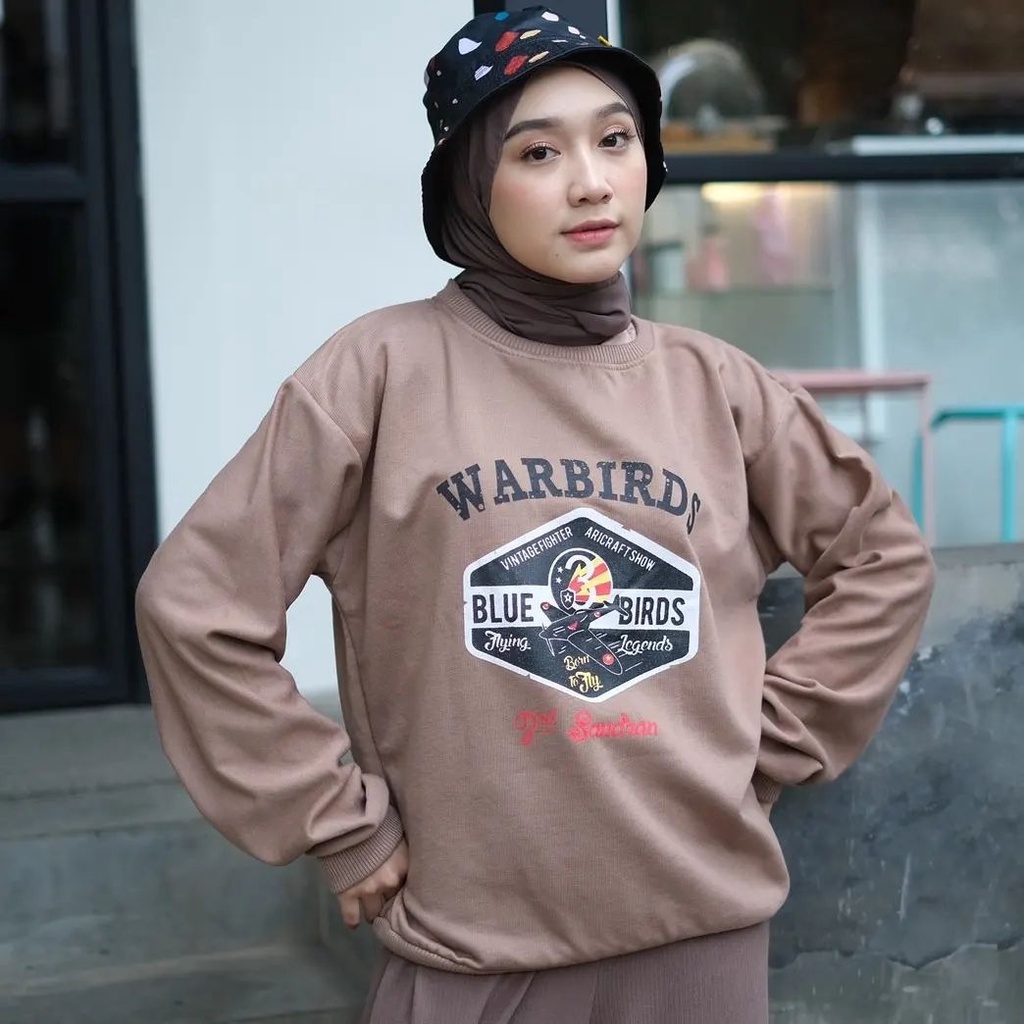 Warbirds Sweater - Sweater Hoodie Unisex Terbaru