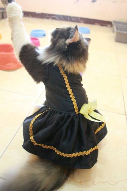 Dress black mumu pita kuning / dress kucing lucu murah terlaris / baju kucing murah size S M L XL