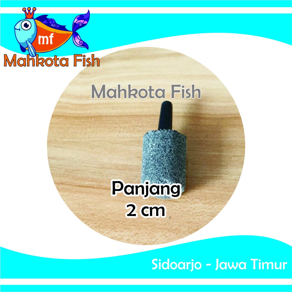 Batu Aerator PANJANG 2 CM | Batu Gelembung | Batu Aerasi | Airstone