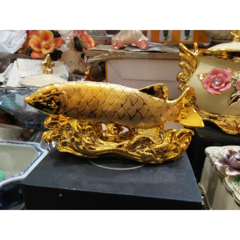 ikan arwana mini S