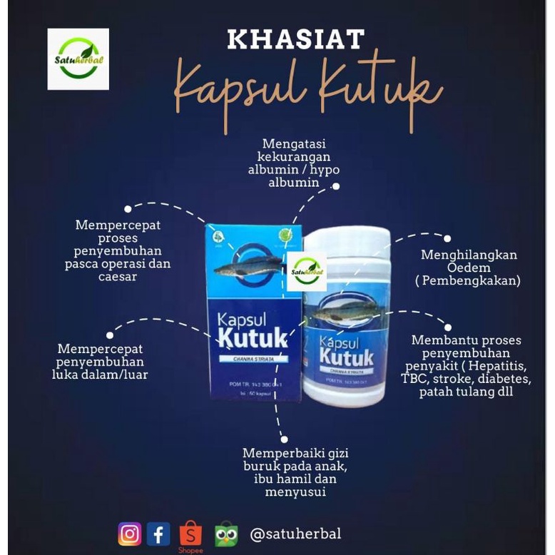 Kapsul kutuk ( ikan gabus) tinggi albumin kaya nutrisi bagus untuk penderita tumor,ginjal,kanker dll