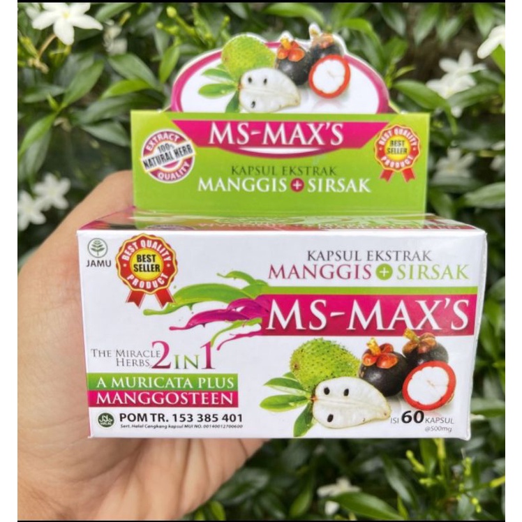 Kapsul Ekstrak Kulit Manggis Dan Daun Sirsak MS MAXS