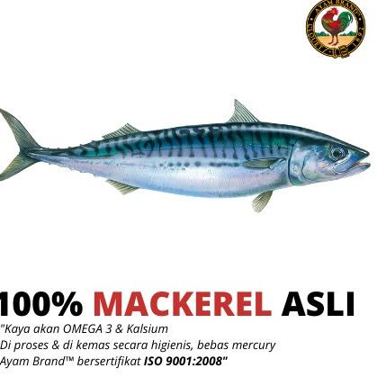 

TRXBb0B5--Ayam Brand - Ikan Mackerel Makarel Kaleng Saus Tomat 155gr