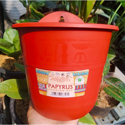 Pot Bunga Tempel Dinding Greenleaf Papyrus 6357 Coklat Pot Bunga Tempel Dinding Greenleaf Papyrus 6357 Coklat