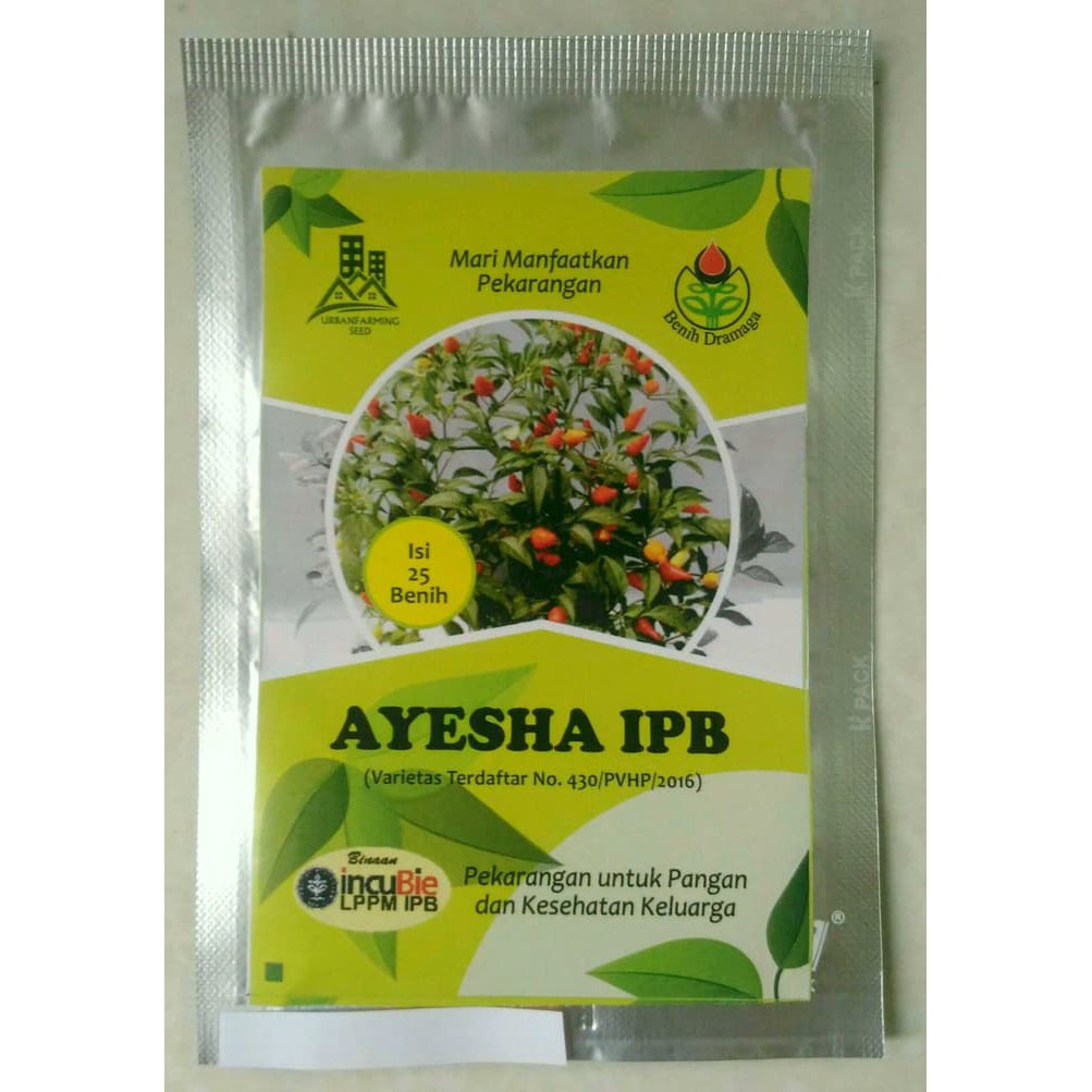 Benih Cabai Hias Ayesha Ipb