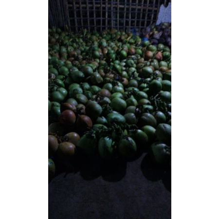 

degan kelapa muda