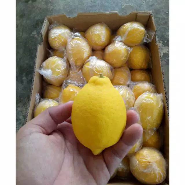 

JERUK LEMON FRESH IMPORT USA