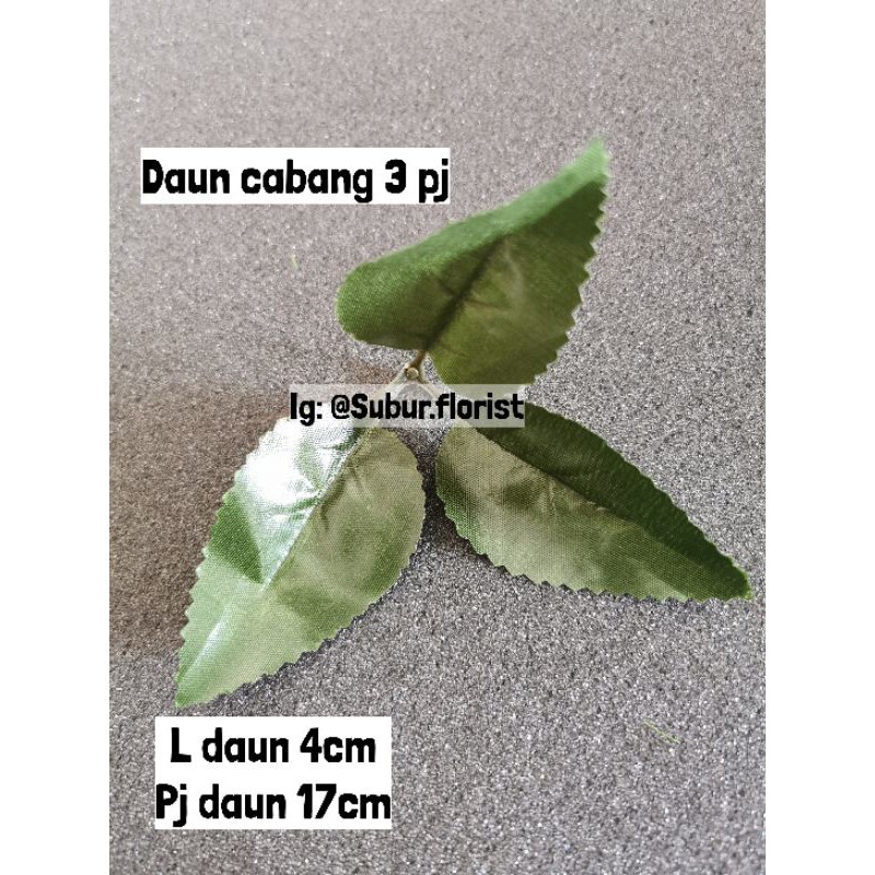 Daun Cabang 3 Panjang Isi 10 Shopee Indonesia