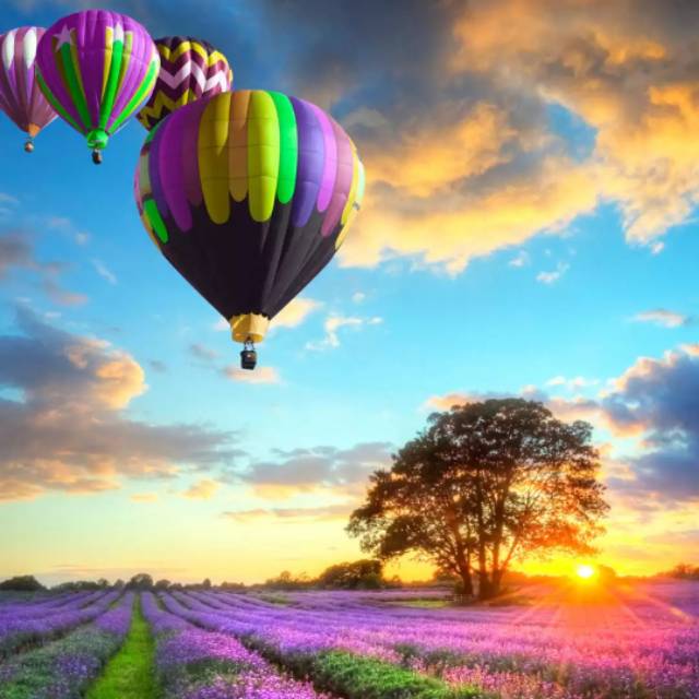 shaniar.original1010