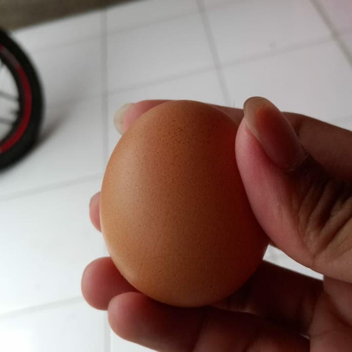 

Telur Ayam Negri Super 1 kg