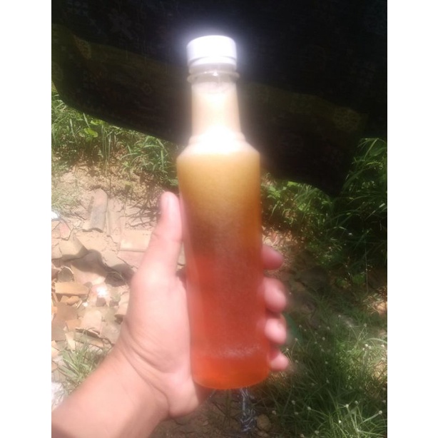 

Madu murni