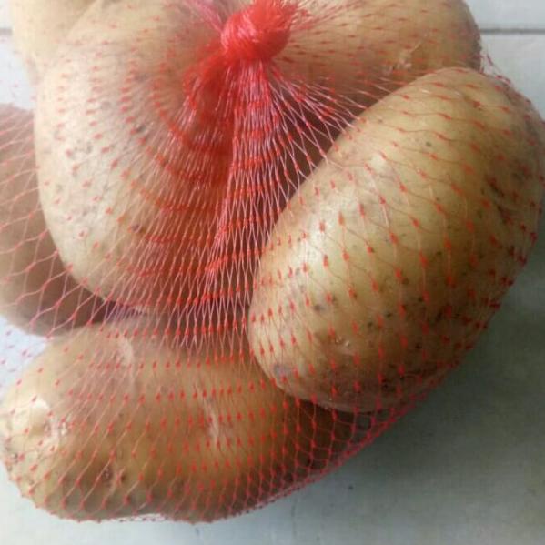 

☻ 1 kg. kentang diyeng kuning dan kenyal ➻