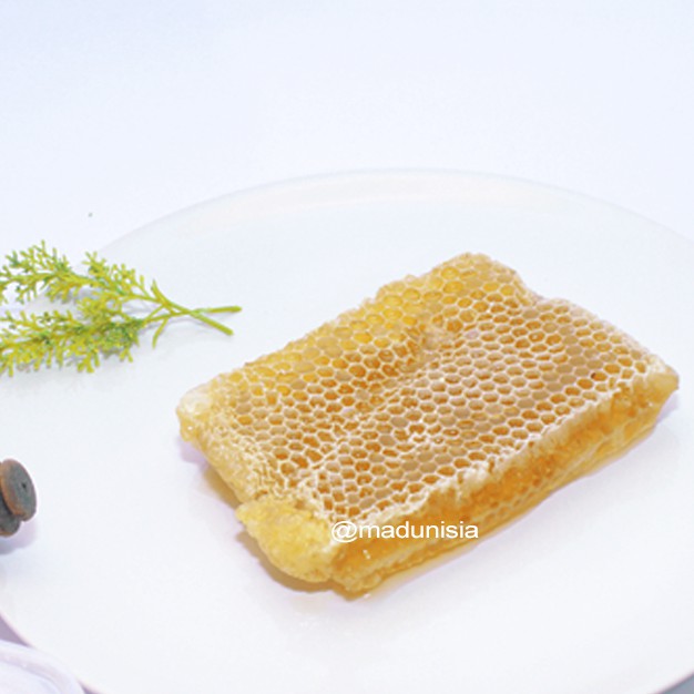 

SARANG MADU MELIFERA 250GR Best Seller