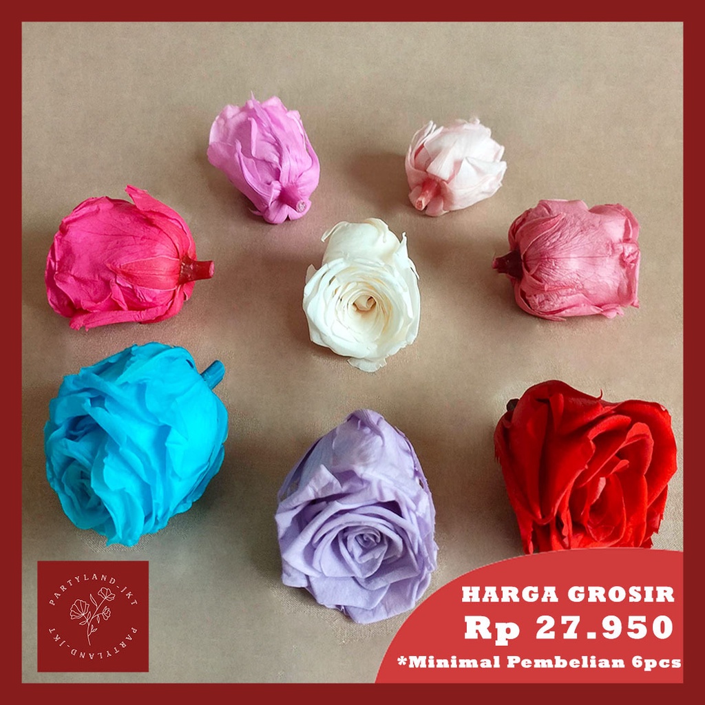 Preserved Large Rose Bunga Kering Imort Asli Dekorasi Hias Mahar Meja