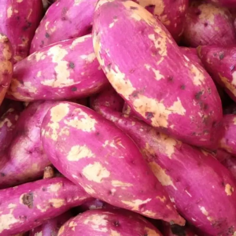 

Ubi Jalar Merah/Oren manis (1 kg)