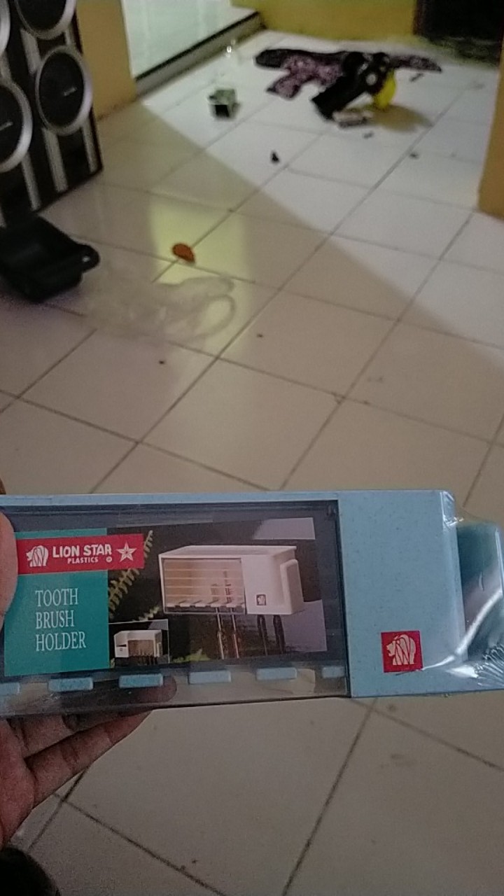 Lion Star Tb-2 Tooth Brush Holder Small Tempat Sikat Gigi Kecil Murah Plastik Berkualitas Kuat