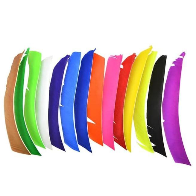 

[PREMIUM] Bulu Kalkun Utuh Import Polos