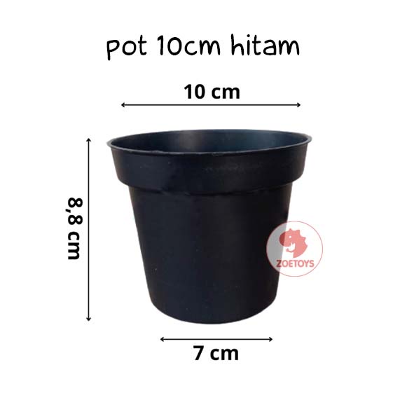 Zoetoys Pot 10 cm | Pot Bulat Bibit Tanaman Mini Plastik Kecil Hitam Murah Bisa Untuk Vas Bunga Kaktus Sukulen