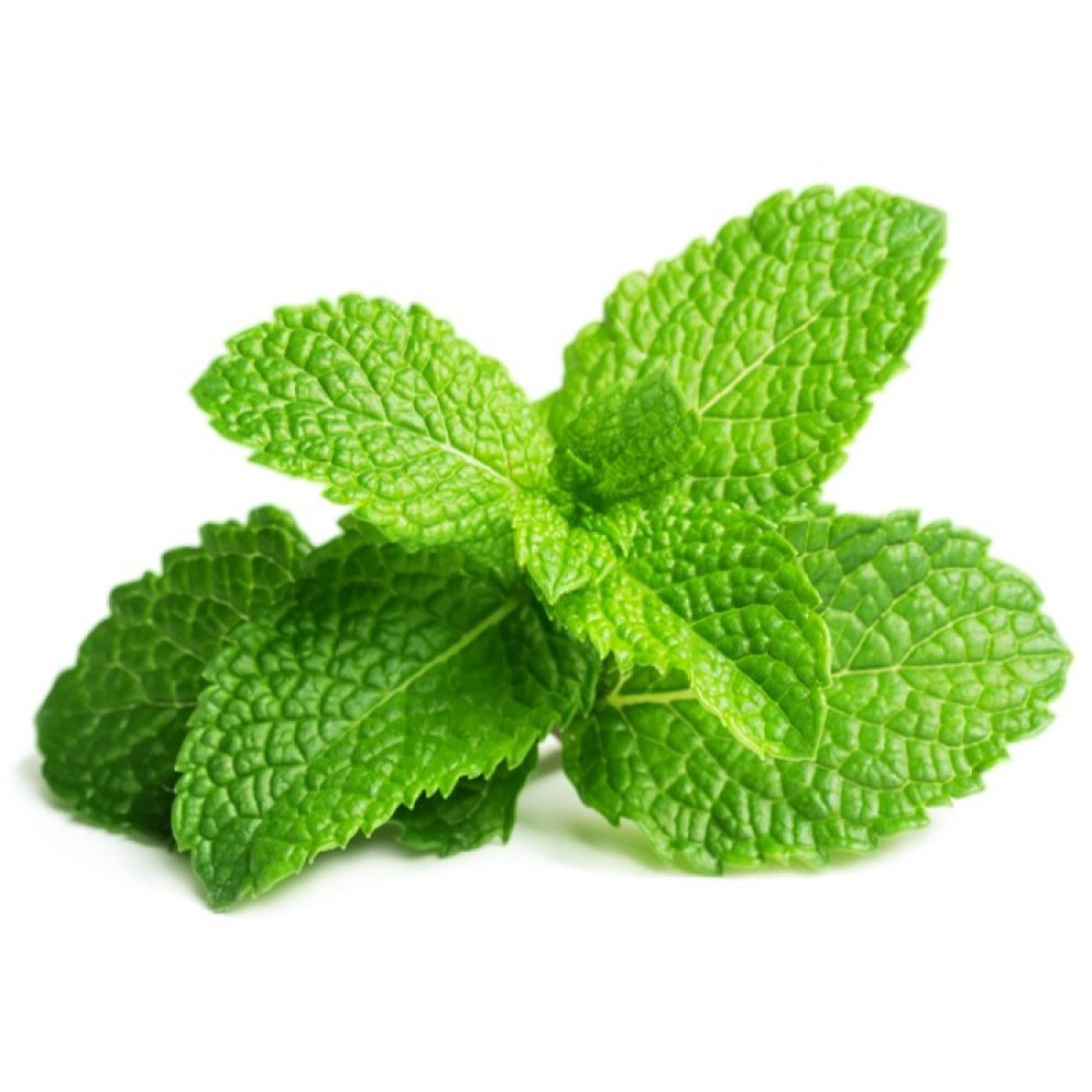 

Daun Mint Fresh (Pack)