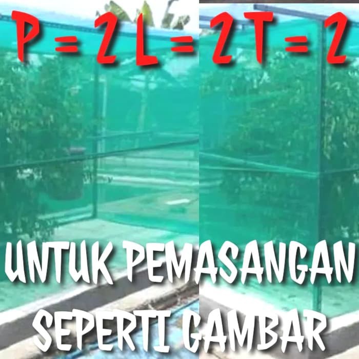 Kandang Jaring Lalat BSF Maggot