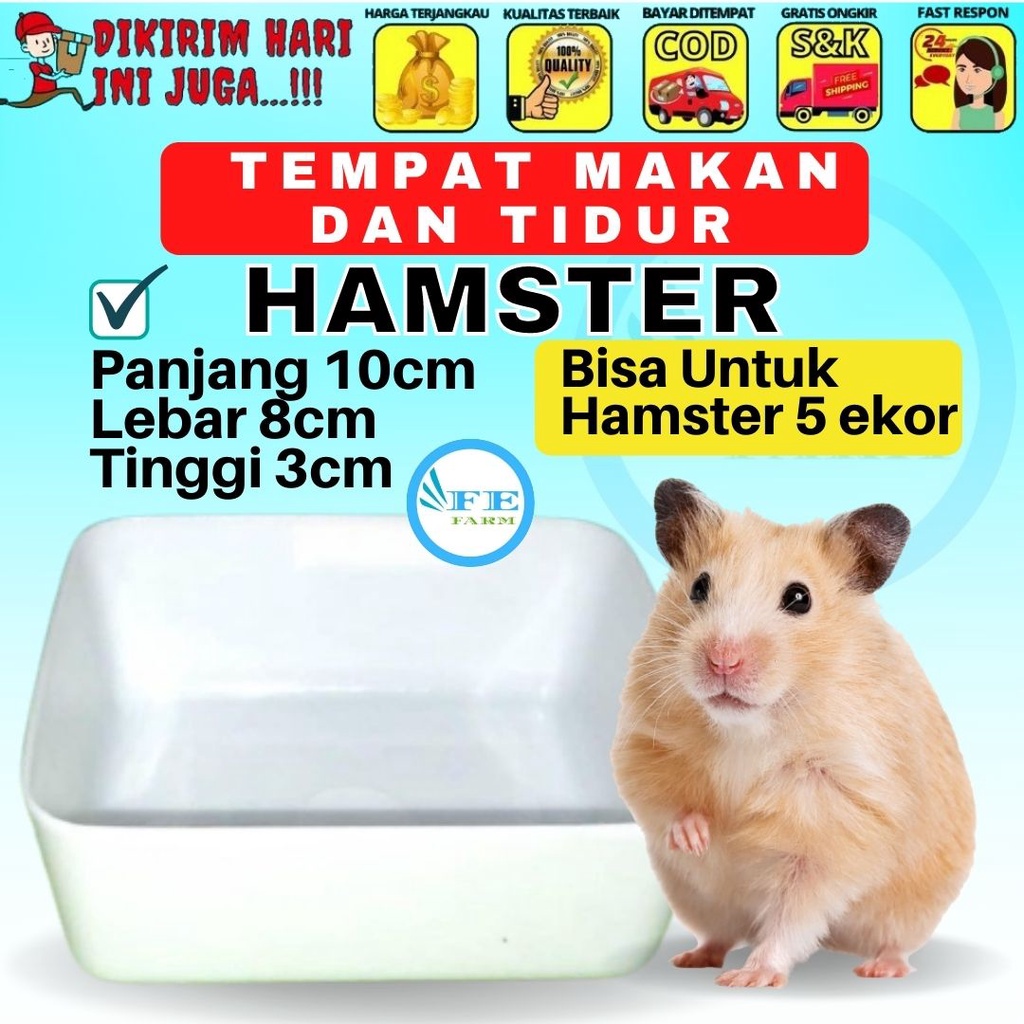 TEMPAT MAKAN HAMSTER KOTAK - Tempat Makan Hamster Tempat Mandi Hamster FEFARM