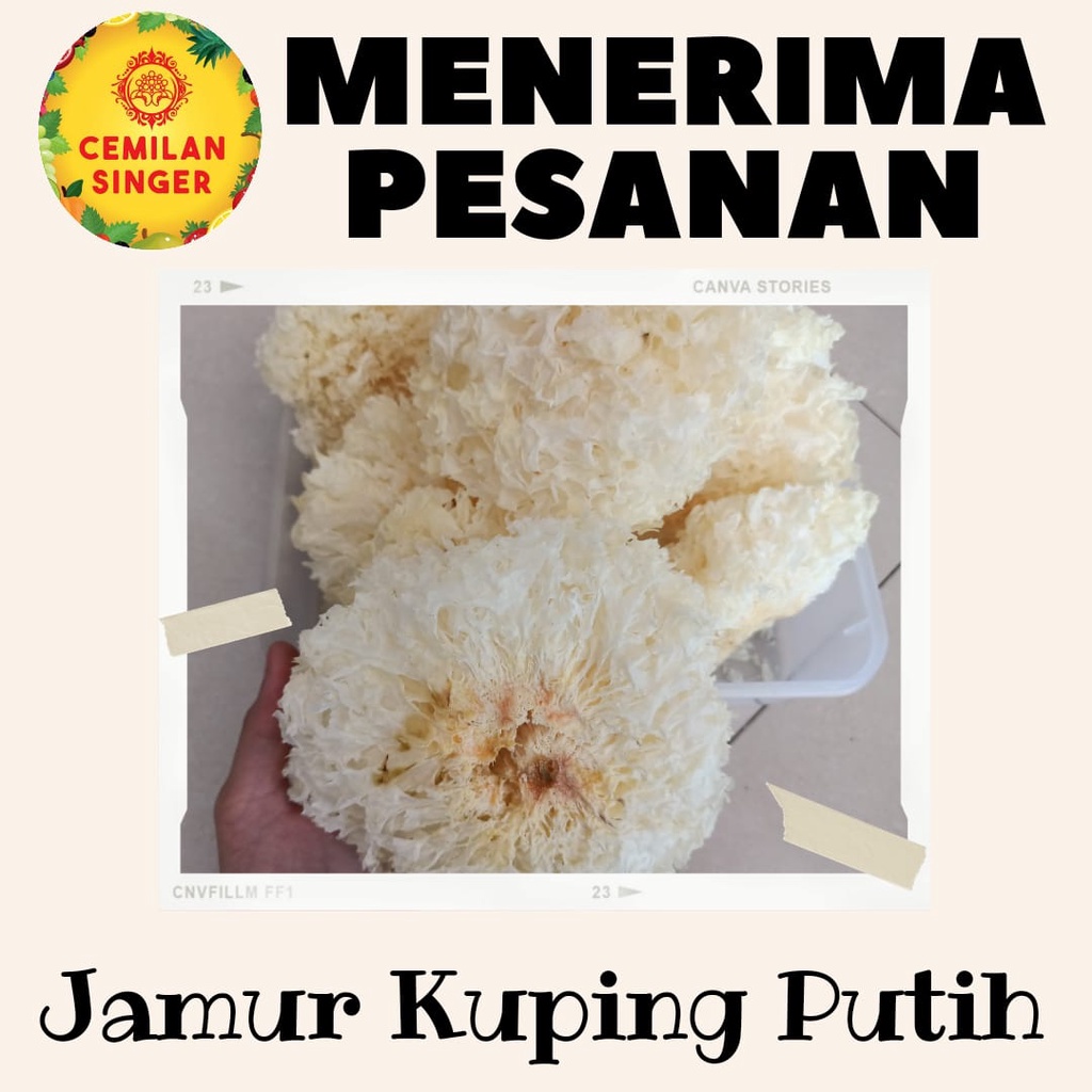 

Jamur Kuping Putih / White Fungus 100gram
