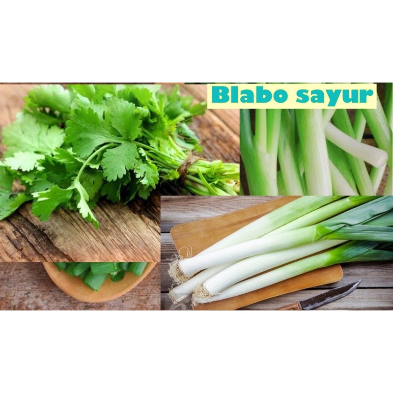 

Daun Bawang dan Seledri (mix) 250gr Gunung Singgalang & Merapi