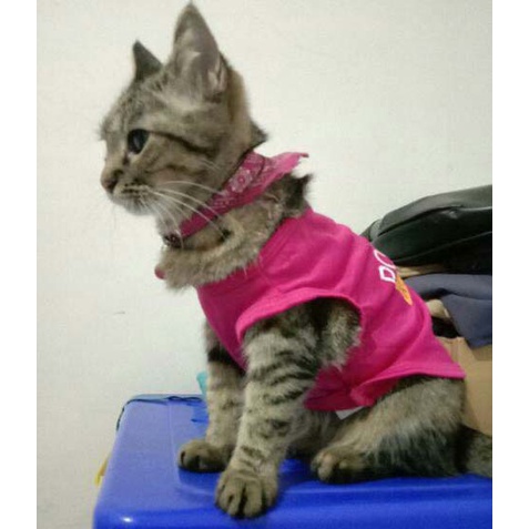 Pakaian Kucing//Baju Kucing/ Pakaian Kostum anjing Kucing POLICE