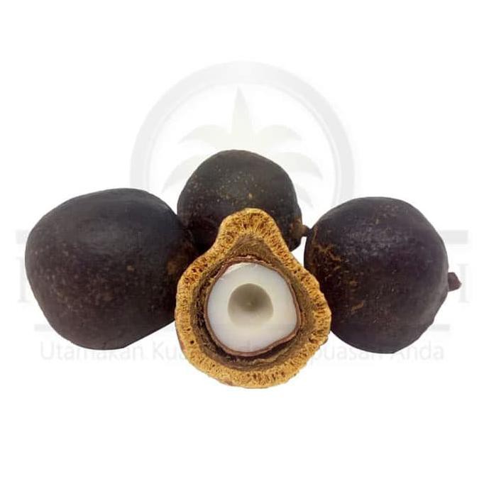 > Buah Zuriat Belah Madinah / Buah Zuriat Madinah 1 Kg Original