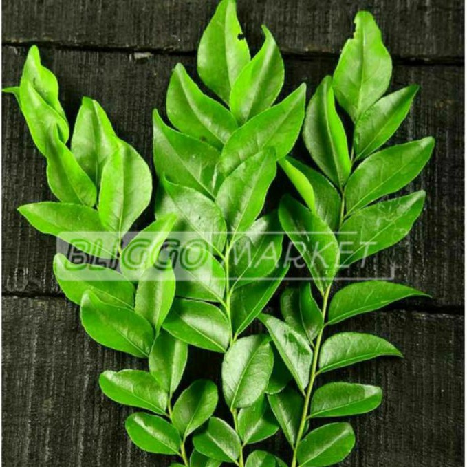 

Daun Kari / Bliggomarket