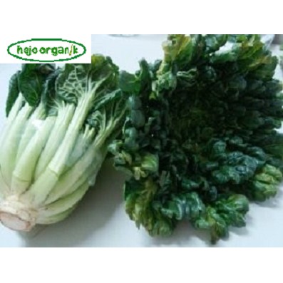 

PAGODA / SAYUR TATSOI SAWI FRESH SAYUR ORGANIK SEGAR BANDUNG BEBAS PESTISIDA FREE GMO