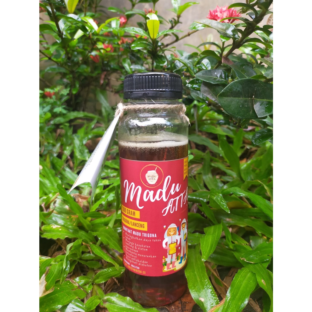 

madu trigona madu herbal madu asli murni madu hutan 300gr