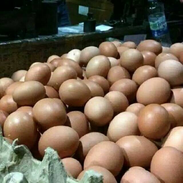 

Telur 500 gram