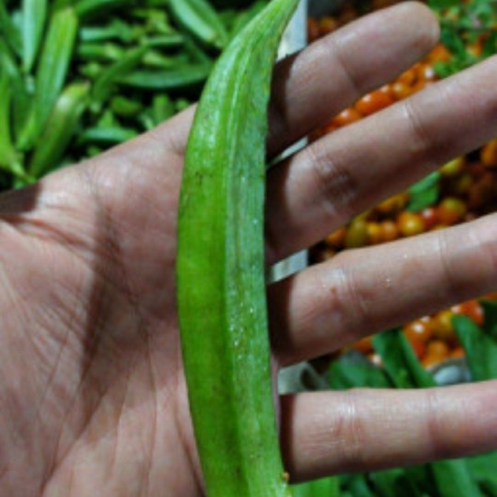 

Sayur ocra segar per 500 gram