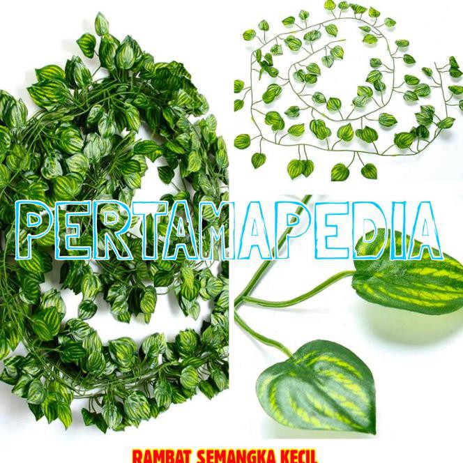 Lusinan Rambat Kecil/ Daun Rambat Plastik/ Daun Plastik / Rumput Dekor - Semangka Kecil