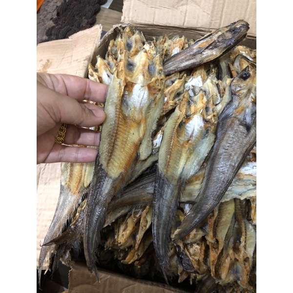 ikan asin lais isi 500 gram
