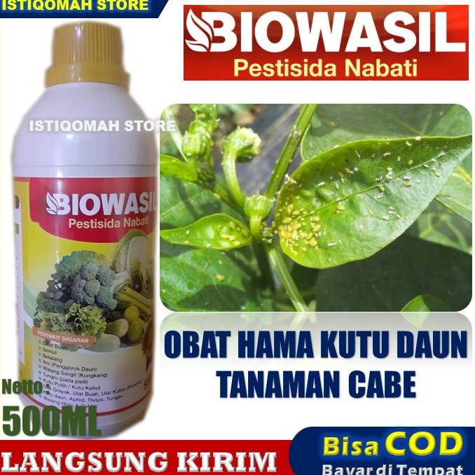 PROMO COD BIOWASIL 500ml Pestisida Nabati Obat Hama Kutu Daun Cabe - Obat Pembasmi Kutu Daun Cabe - 