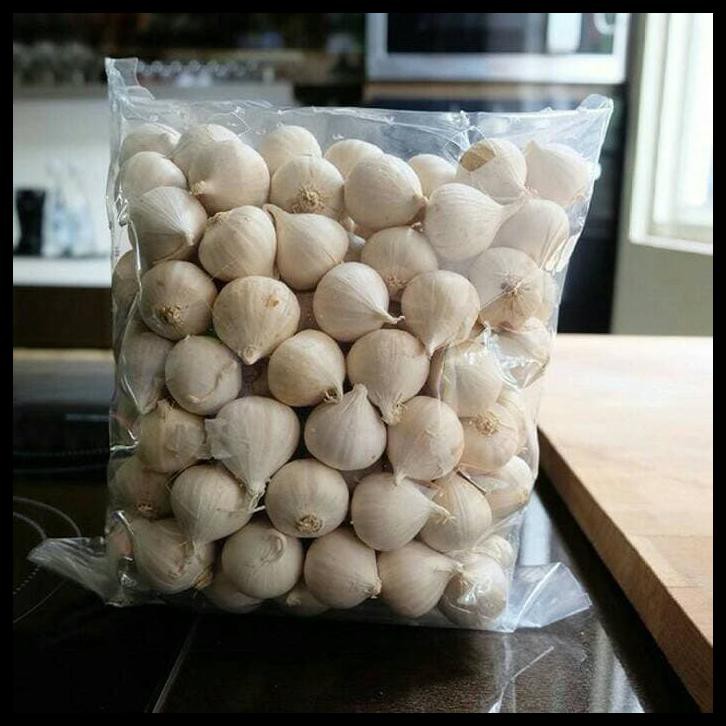 

BAWANG PUTIH TUNGGAL / BAWANG LANANG 1KG /BAWANG KESEHATAN HERBAL
