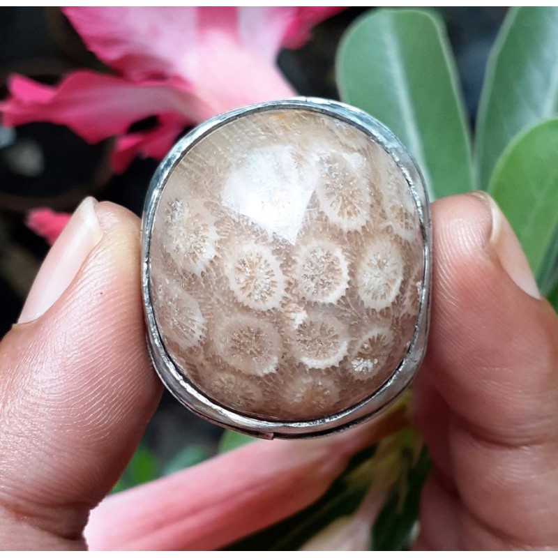 Batu Teratai Kristal Jumbo Bengkulu Lawasan Sejak Tahun 1980an