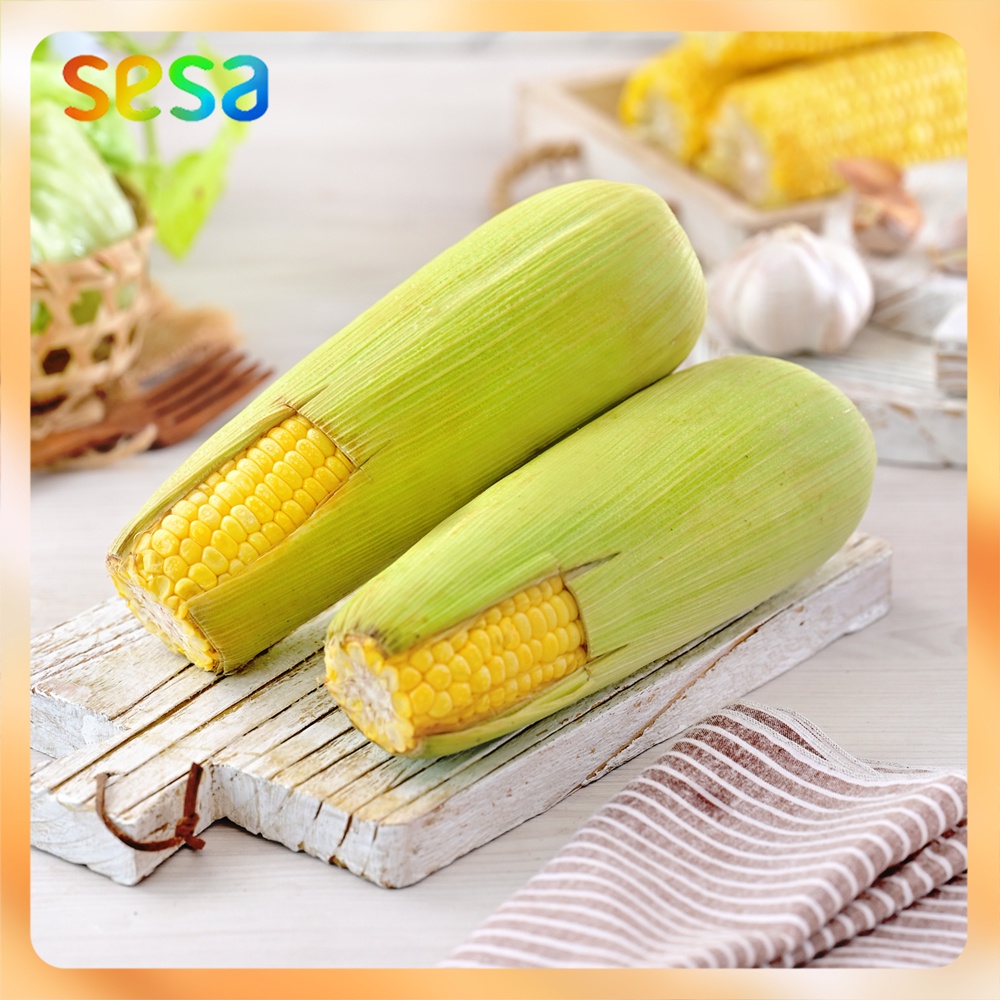 

JAGUNG Manis Organik 2pcs - Sayuran Makanan Cemilan Fresh Sehat